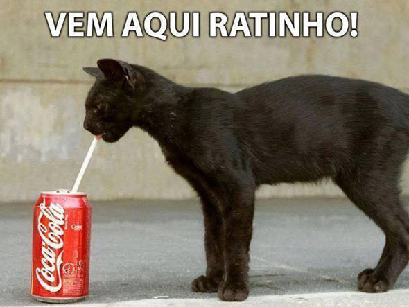 size_590_Montagem_da_internet_sobre_suposta_contaminação_da_Coca-Cola (1)