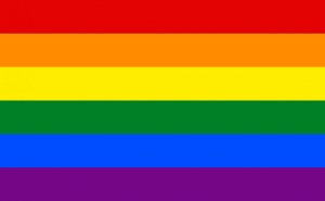 320px-gay_flag-svg_-300x185