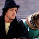 Como Vender Mais: Sylvester Stallone. Fonte: meusanimais.com