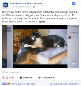prefeitura florianópolis lança campanha facebook adoção animais