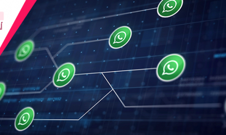 WhatsApp Business Solution: conheça a novidade