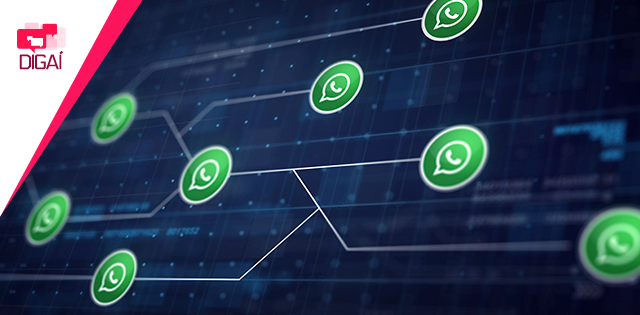 WhatsApp Business Solution: conheça a novidade